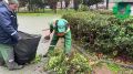 В сквере им. 300-летия Российского флота выполнили стрижку живой изгороди