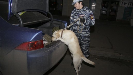 21-летнего наркокурьера задержали в Севастополе