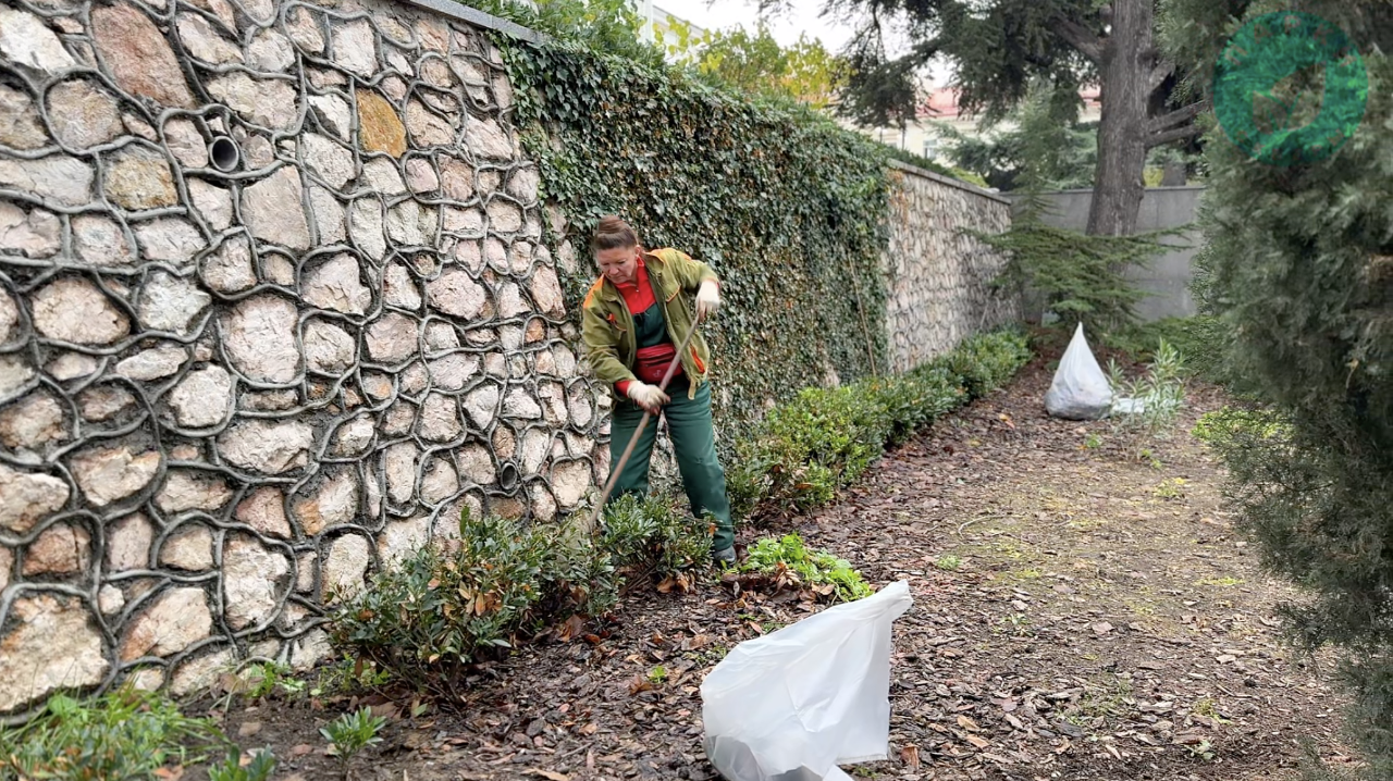 Возле кинотеатра «Победа» в Севастополе очистили территорию