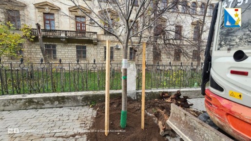Высаживаем молодые деревья на улице Гоголя