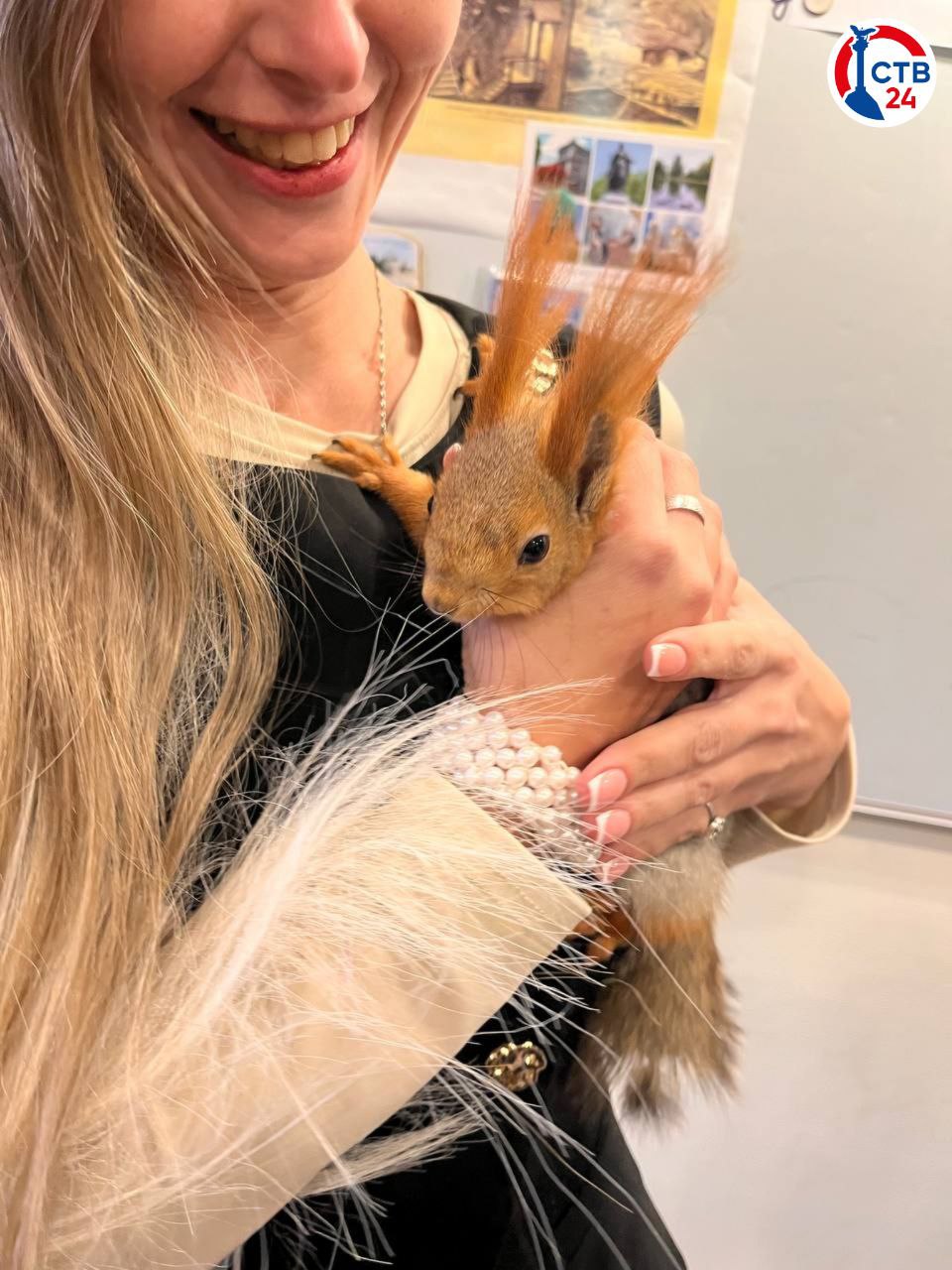 Севастопольский производитель шоколада подписал первый контракт на поставку продукции в Казахстан