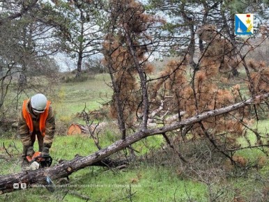 В селе Хмельницком приступили к оздоровлению леса вокруг памятника морской пехоте