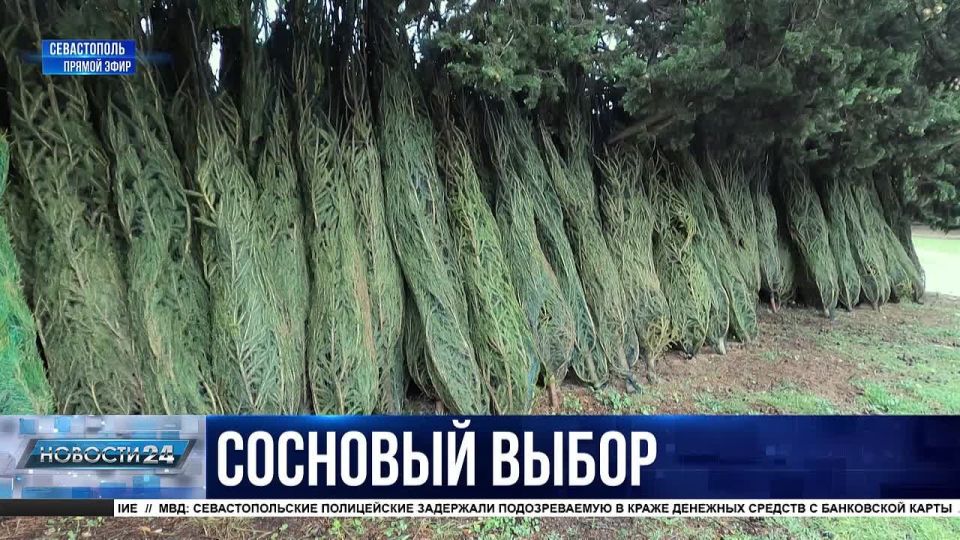 ���������� ����. ��� ������� ������� ������ �� ������� ������?