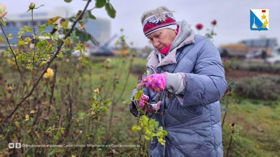 ��������� ������� �������� ������ �� ������� �����������