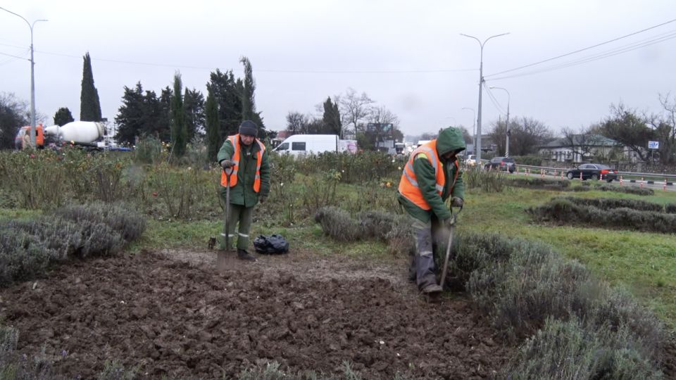 � ����������� ����������� ������� �������� ������