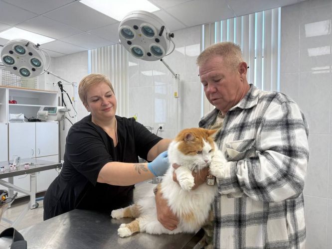 � ����������� ������� ����� ������ ��������������� ������������ ������ �� ������