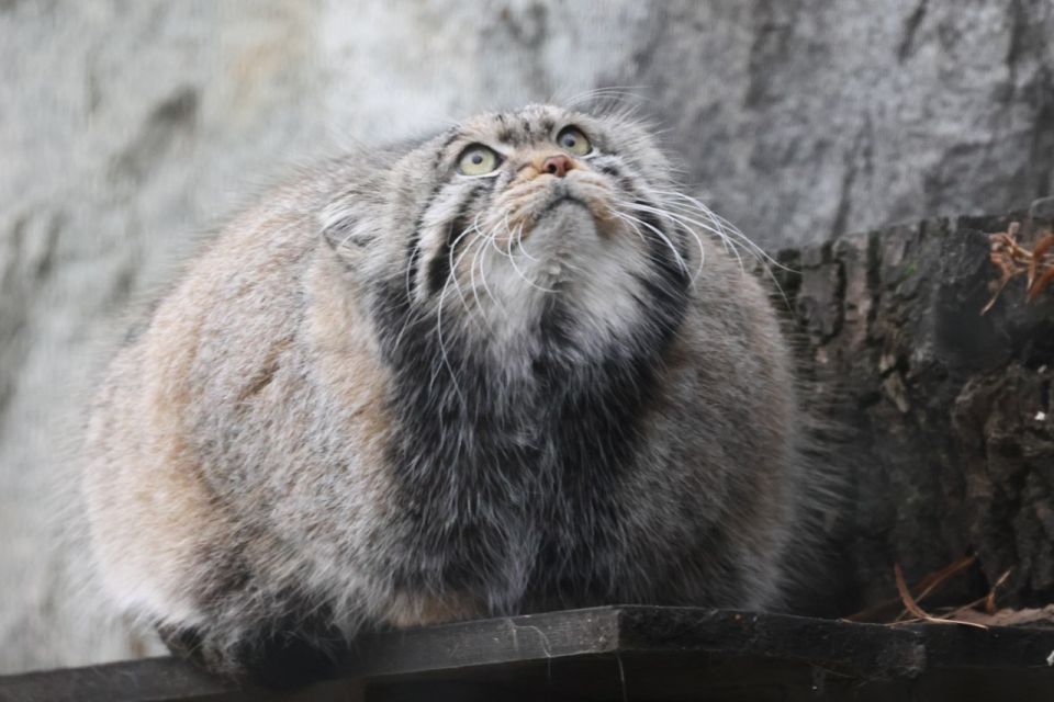 ���������� ������ ����������� � ������� �����