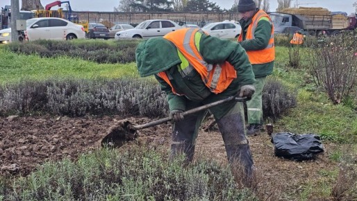 В городе заканчиваются высадки весенних цветов