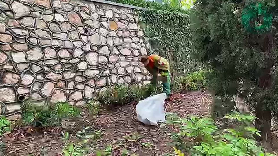 ������ � ������� ���������� ��������� �� �������� ������ �����������