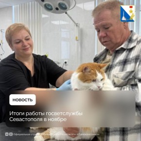 В ноябре госветслужба Севастополя вакцинировала более 20 тысяч животных