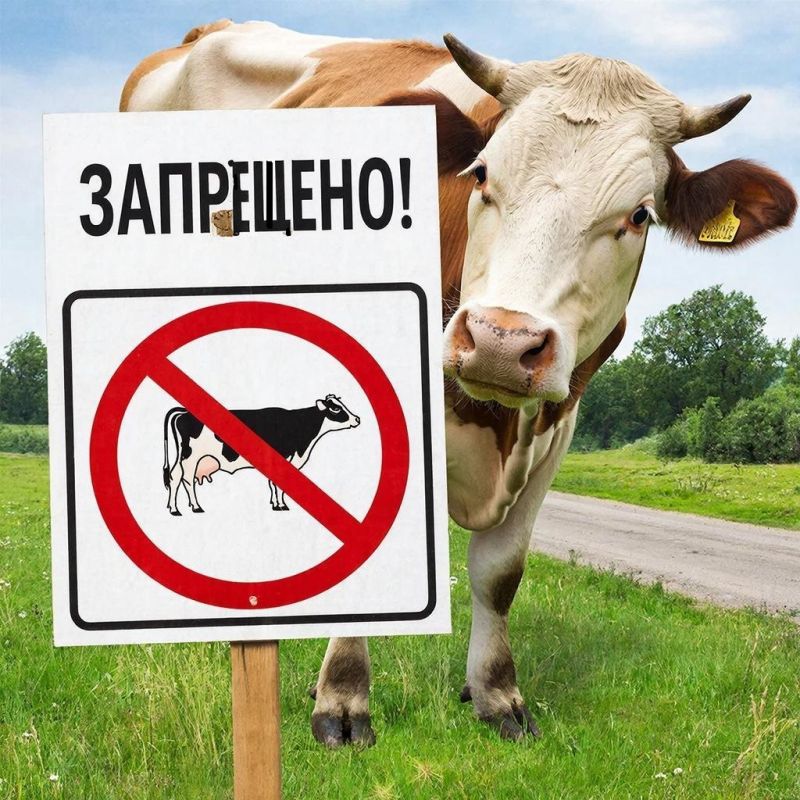 �������� �������� ������������� �������� �������� �����!