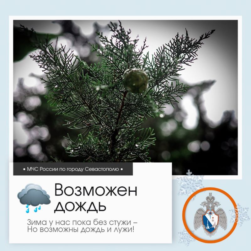 ������ ����, �����������!. �� ������ ��������������, 12 ������� � ����������� ����� �������