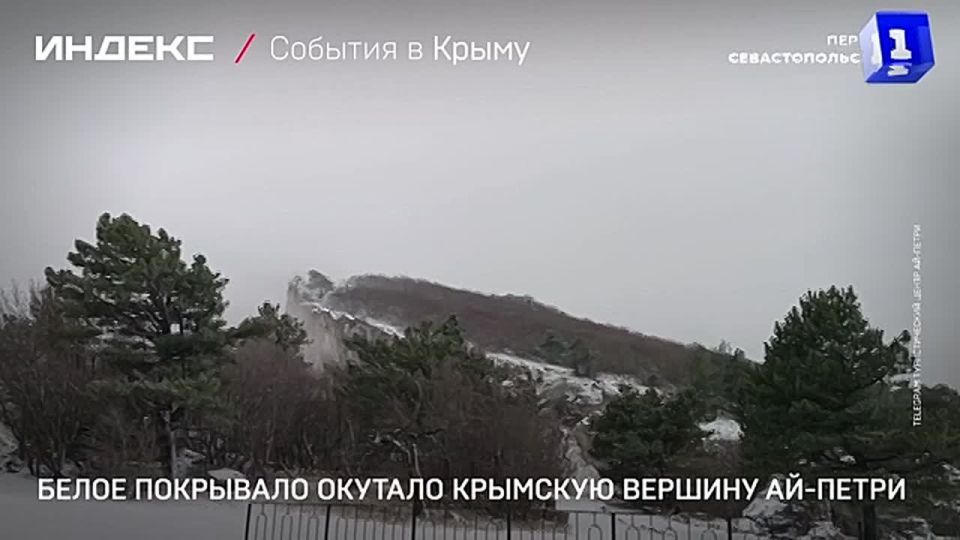 ����� ��������� ������� �������� ������� ��-�����