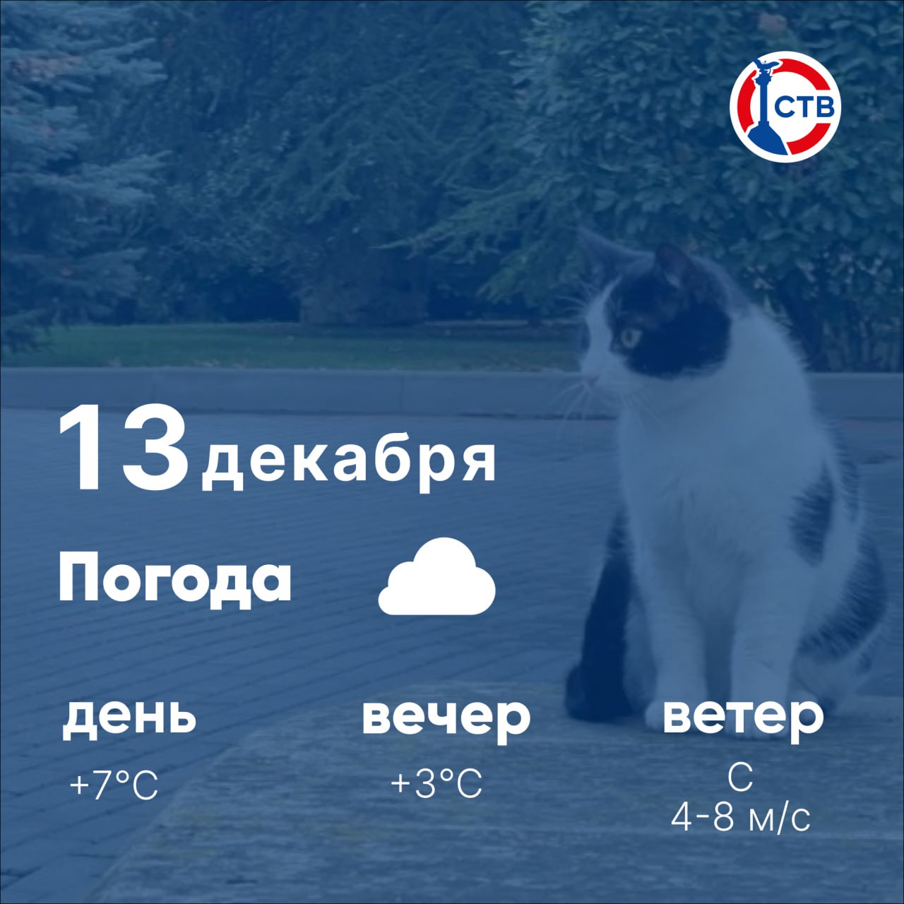 Доброе утро, севастопольцы! Сегодня в городе пасмурно, возможен дождь