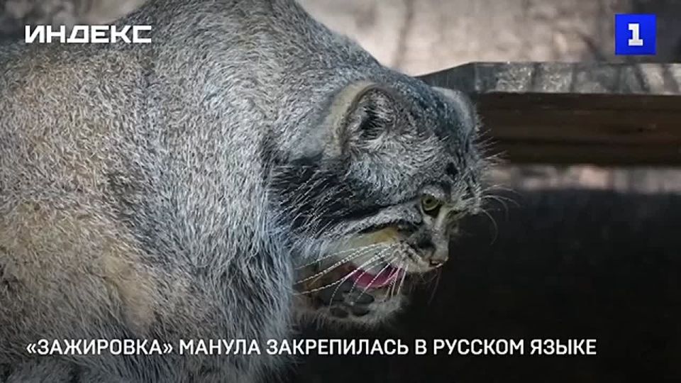 ����� ����������, ������� ���������� ����������� �������� ���������� � ������ ������ ���� � ������ �������, ������ � ��������� ����� �������� �����