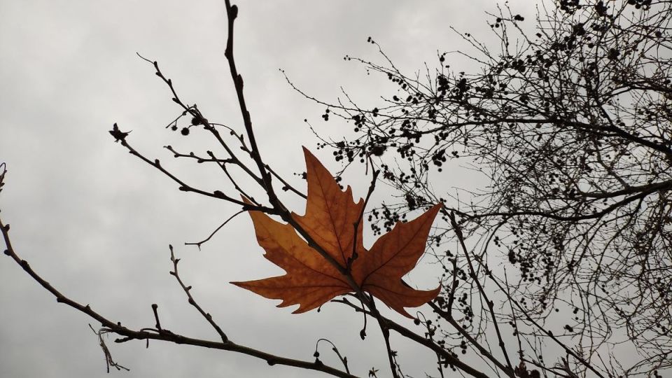 ������ �� 13 ������� 2025 ���� � ����� � �����������: ������ ���������� �� 9 ��������