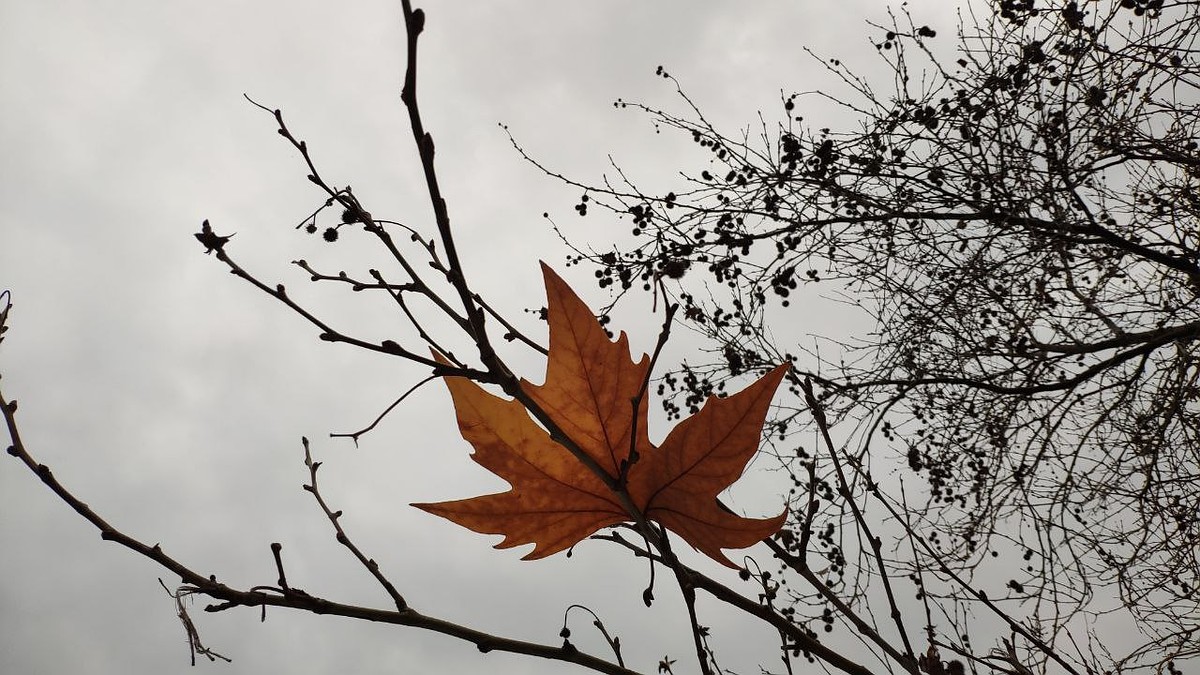 Погода на 13 декабря 2025 года в Крыму и Севастополе: воздух прогреется до 9 градусов