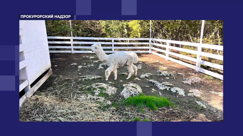 4 ��������� ���� �� �������������� ��������� ����� �������� ����������� ����������� � 2025 ����