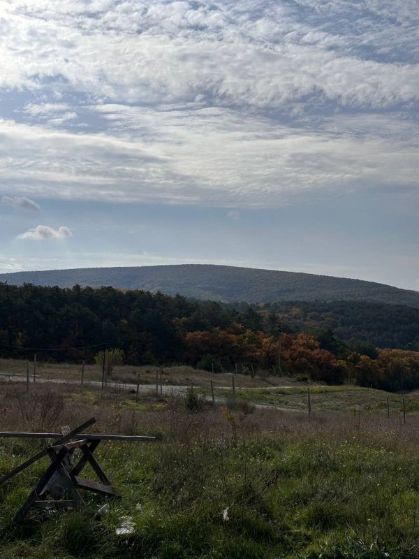 ������ �� 14 �������:. � ���������� ����������, �������� �����