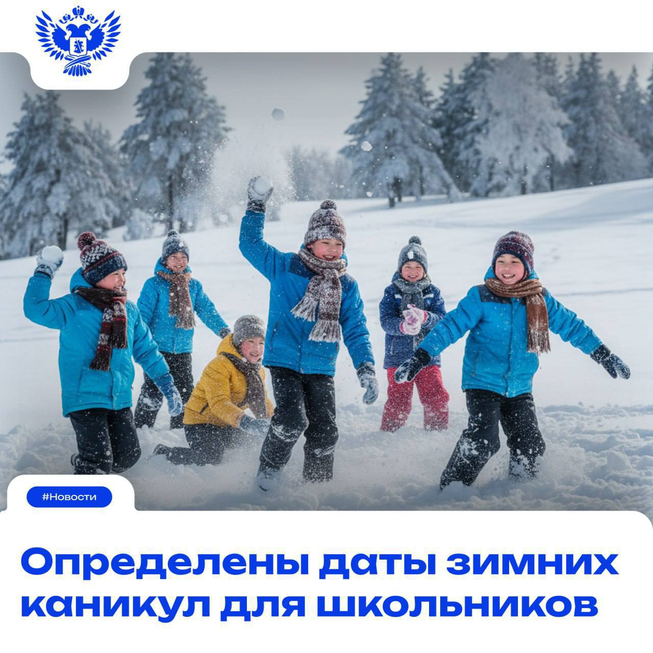 До Нового года 17 дней. А школьники уже строят планы на зимние каникул