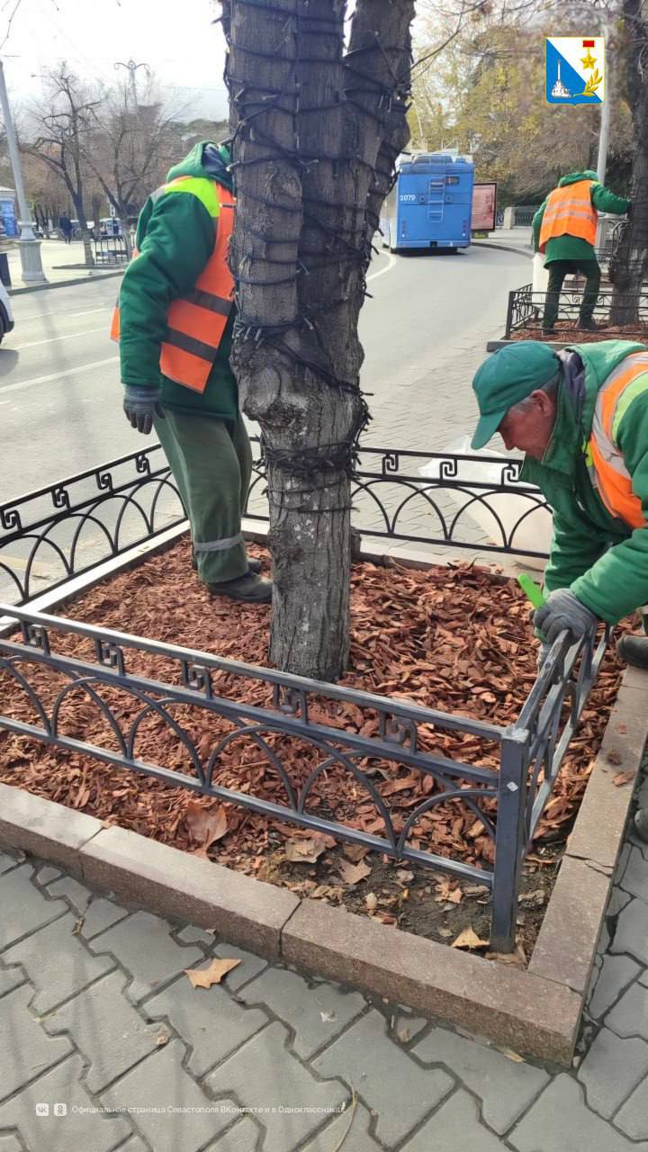 Ухаживаем за деревьями перед холодами