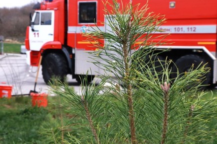 Общественная безопасность. События недели с 8 по 14 декабря