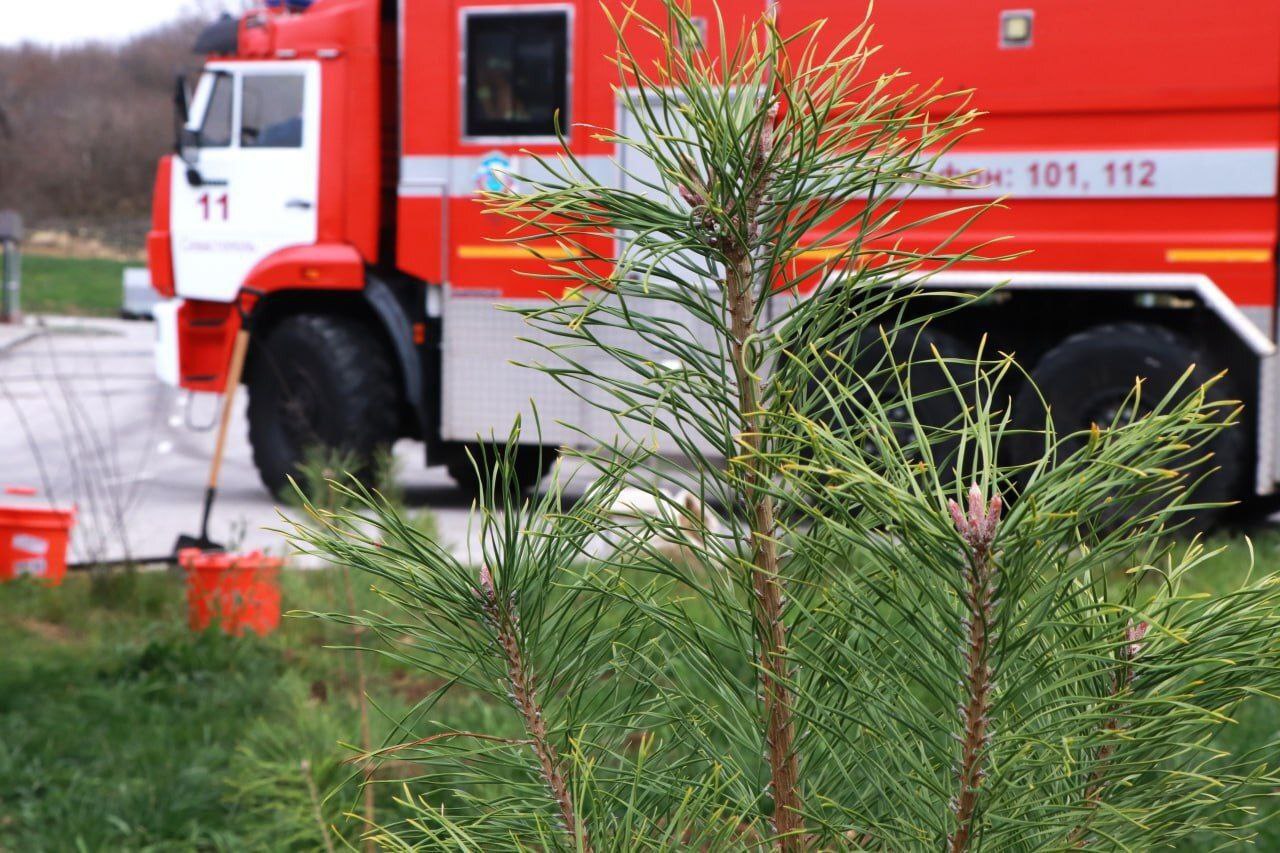 Общественная безопасность. События недели с 8 по 14 декабря