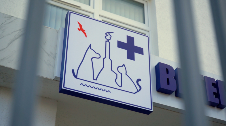 График бесплатной вакцинации собак и кошек против бешенства