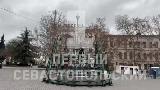 Площадь Нахимова в Севастополе в этом году украсит новая ёлка