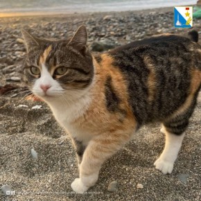 81 ������� ������� ����������� ������������ �� �������� ����������