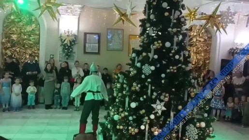 Сезон новогодних ёлок в Севастополе