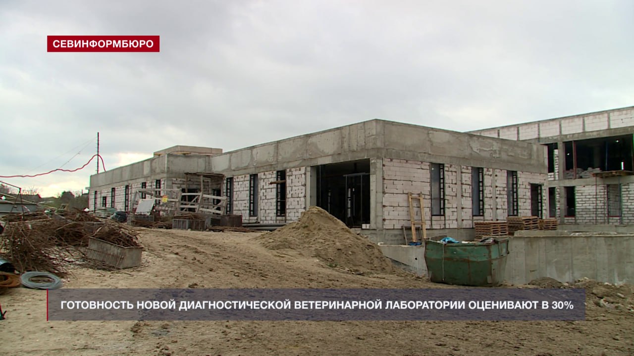 Новая диагностическая ветлаборатория в Севастополе готова на треть