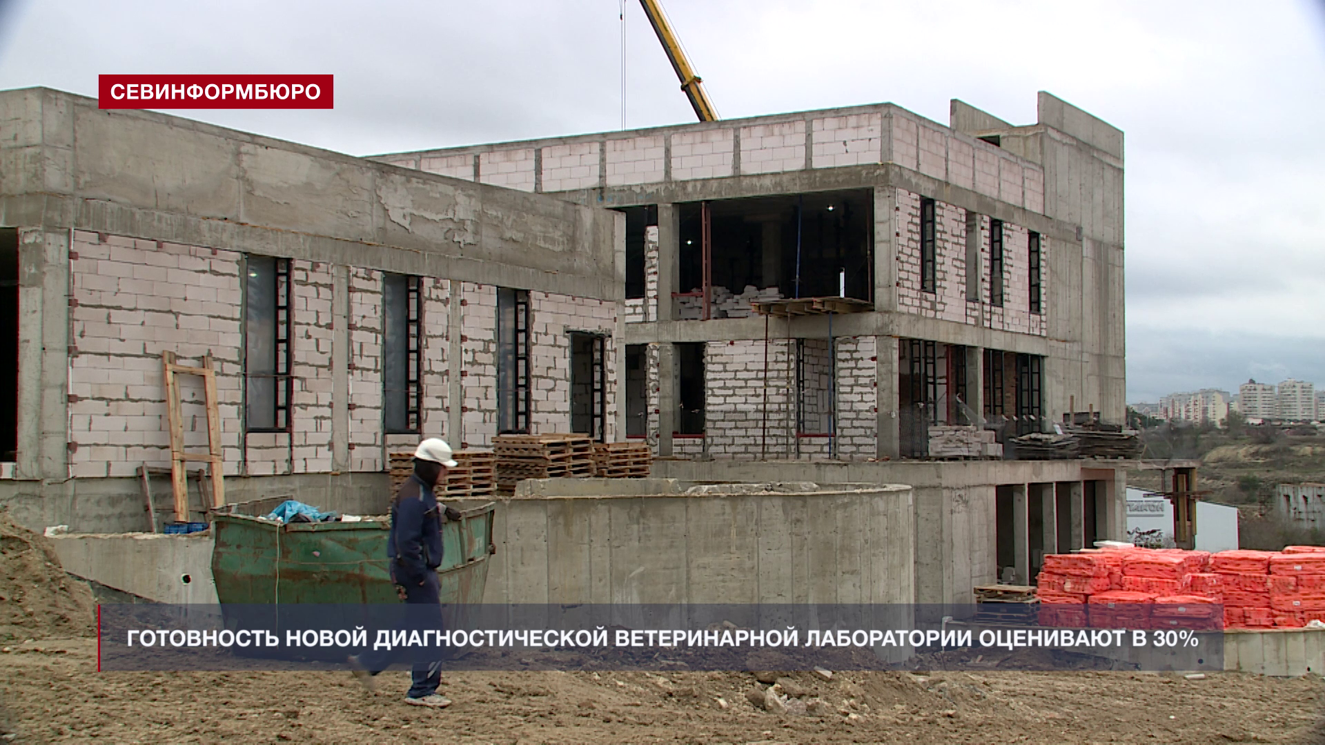 Новая диагностическая ветеринарная лаборатория в Севастополе готова на треть