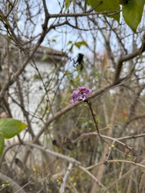 ������� ���� ����� ���������!