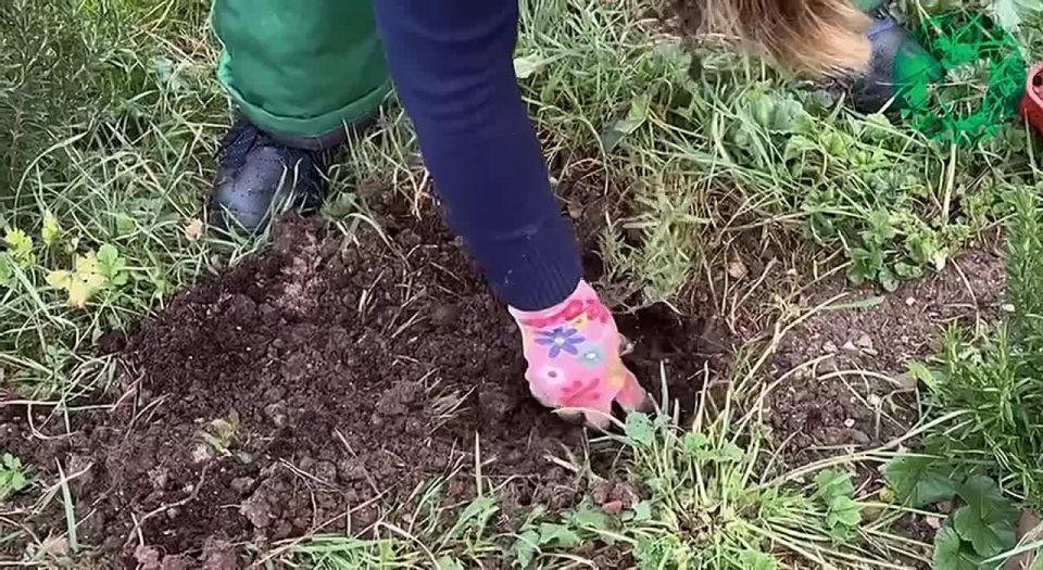 ����������� �������� �������� � ����� ����� ���� ���������