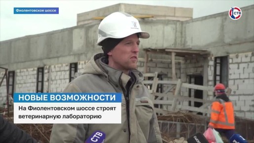 ����������� ������������ ����������� � �����������-��������������� �������� ���������� � �����������