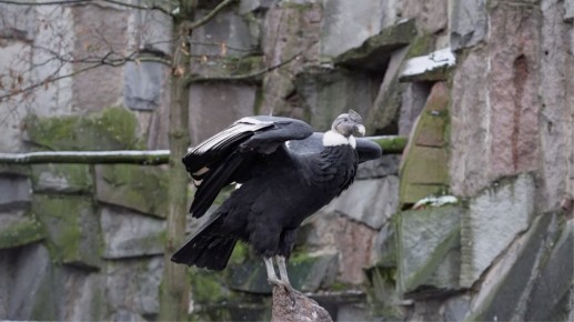 ��� ������� ������� �������� � ���������� �������