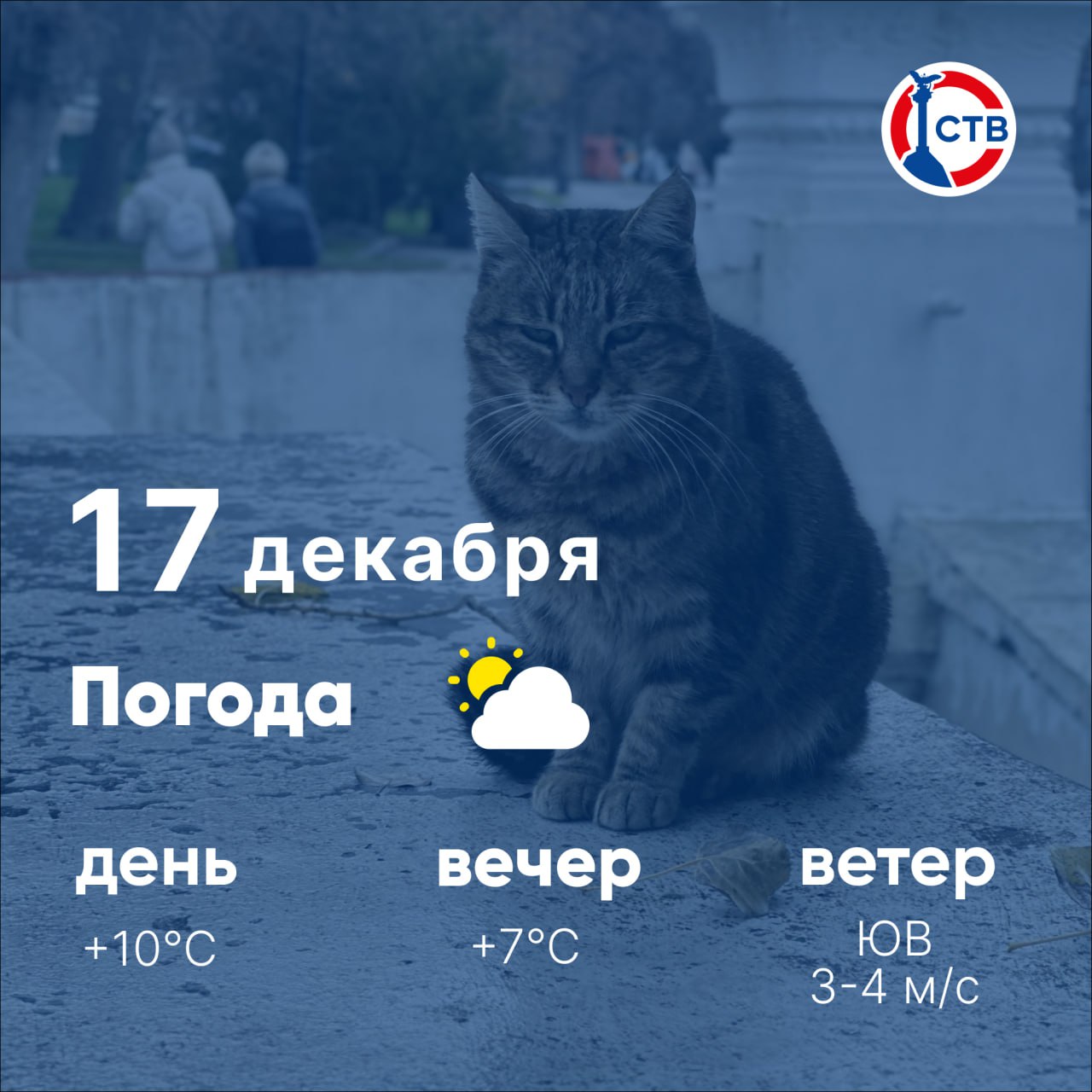 Доброе утро, севастопольцы! В городе сохраняется мягкая зимняя погода