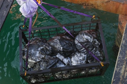 911 тонн отходов мазута обезвредили в Крыму