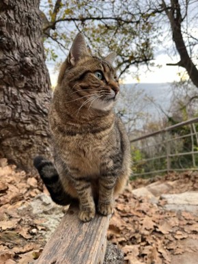 ������ �� 18 �������:. � ���������� ����������