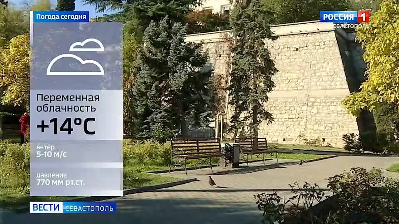 Смотрите наши выпуски сегодня в 7:35, 8:35, 9:30, 11:30 и 21:10!