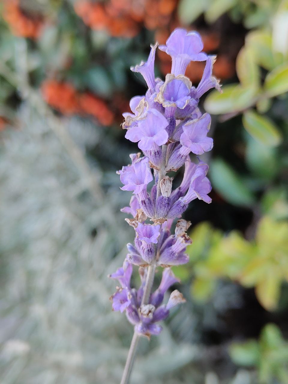 С добрым утром, друзья!. В Севастополе переменная облачность