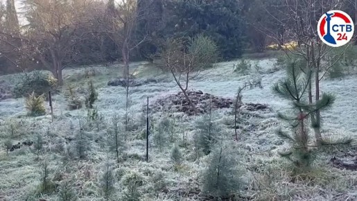 � ����������� ���������� ������� ������� ��� �������������� ���� ������� � ���������, ������� �������� ������� ����� ������, ���������� ���������� �������� ����� ���������� ��������� ����������