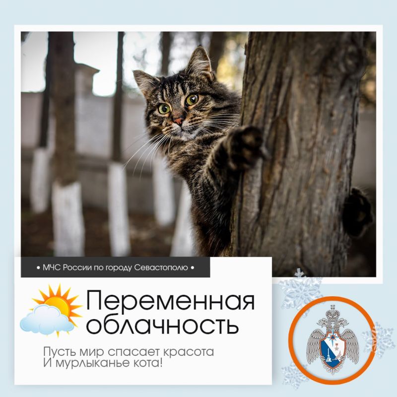 ������ ����, �����������!. �� ������ ��������������, 18 ������� � ����������� ����� ���������� ����������