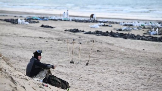 Сколько с пляжей Крыма и Кубани вывезли загрязненного мазутом песка