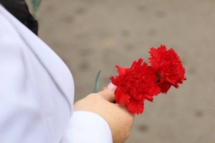 ����� �������� ������ ������� � �������� �����������