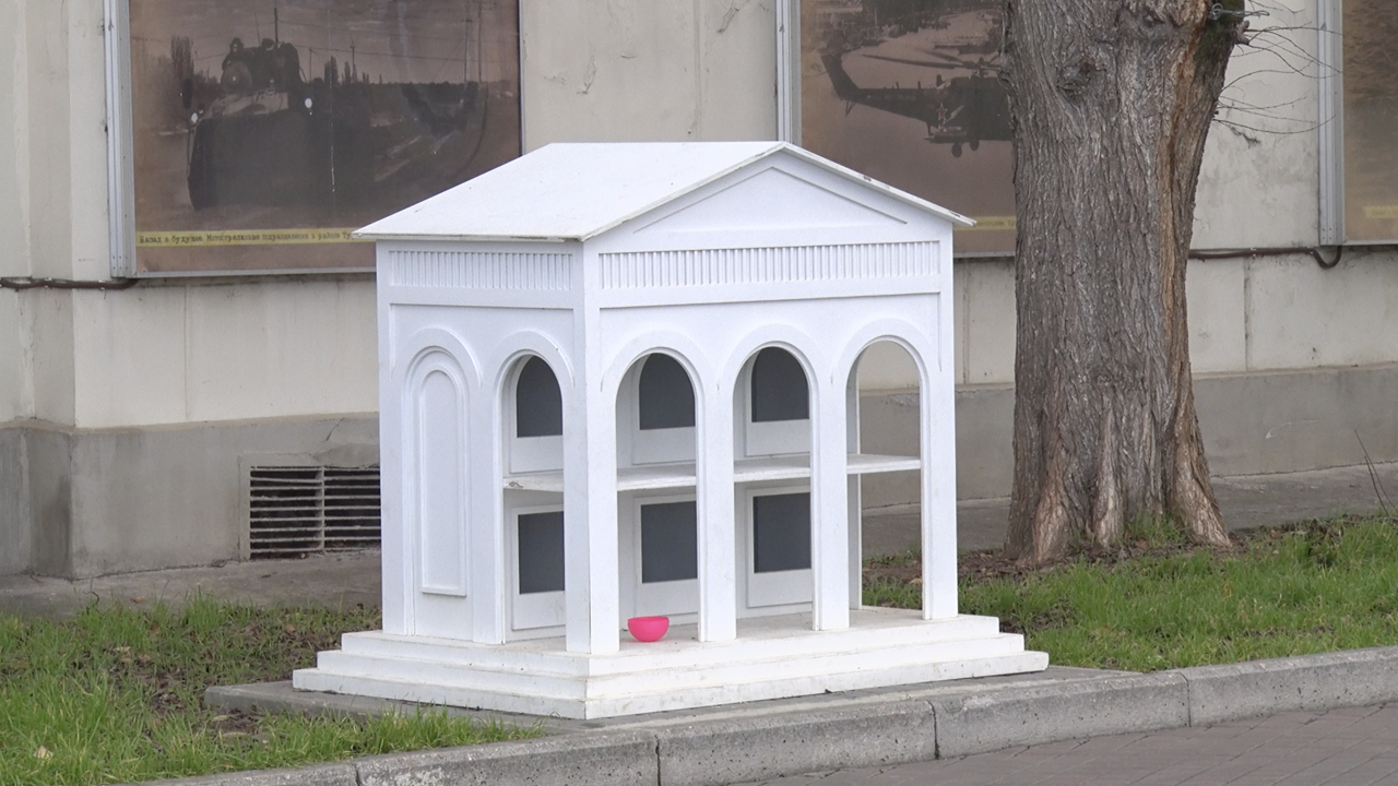 Холода близко: котодомик на Приморском бульваре ждёт постояльцев