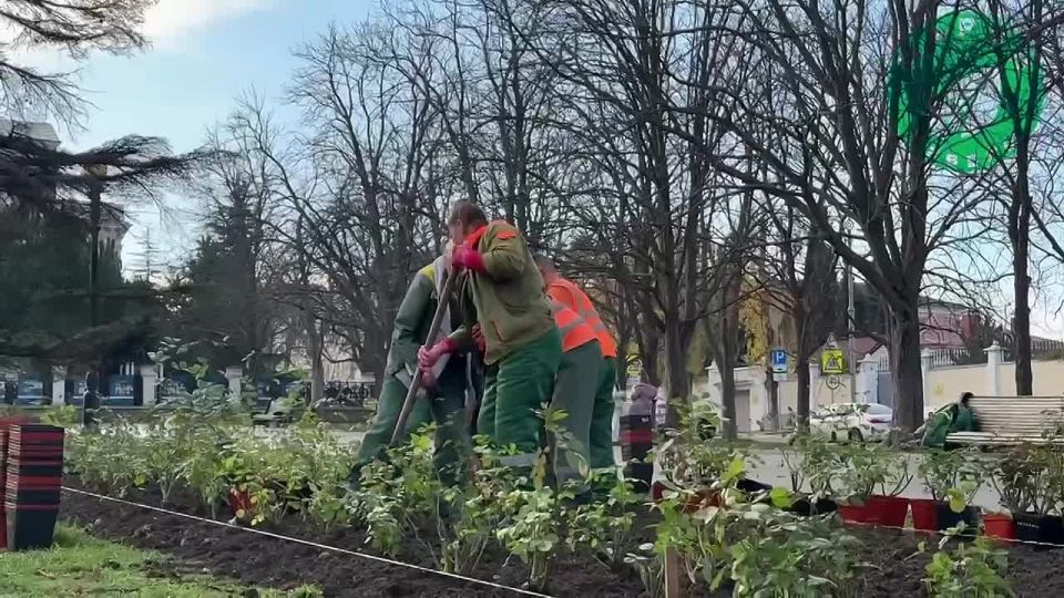 Специалисты «Парков и скверов» высадили новый розарий в сквере рядом с памятником В. И. Ленину