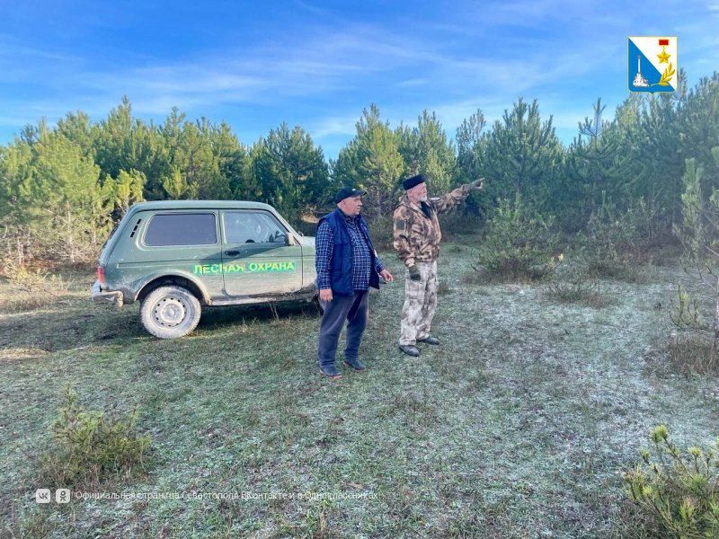 � ����������� ���������� �������� ����������� ����