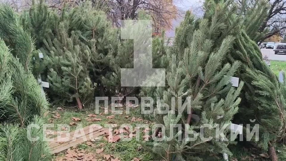 20 ������� ������� ������� � �����������